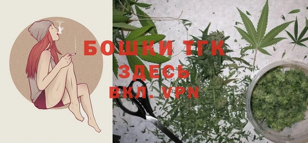 эйфоретик Белокуриха