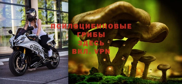Альфа ПВП Беломорск